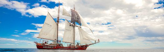 Atyla Schip Live Locatie, Bezoek je stad 524px
