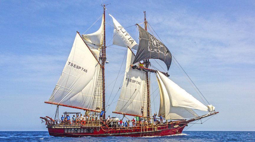 Learn To Sail, Historic Ship, Sailboat, Sailing Trip, Classic Vessel, School Ship, Atyla, Atylaship