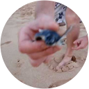 devegendehollander hergen profile picture